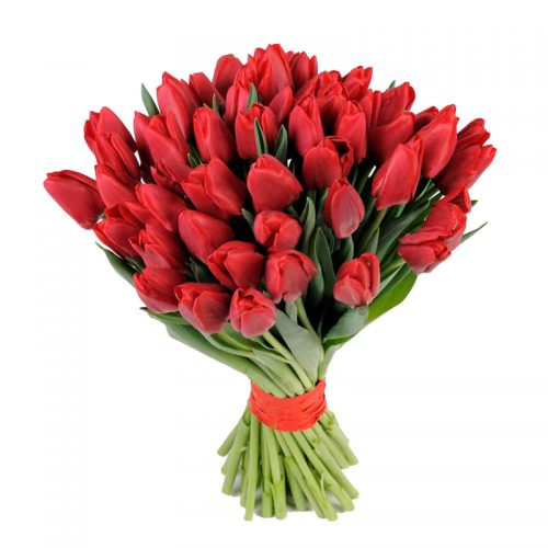 Фото товара 51 красный тюльпан в Херсоне