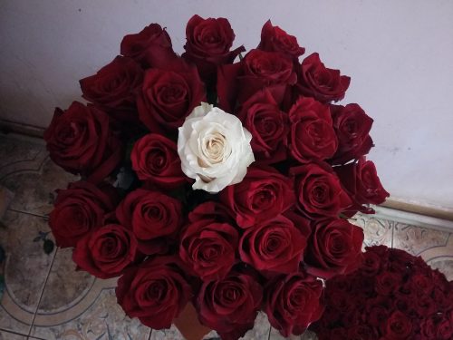 Фото товара Коробка 21 роза "Неповторимая" в Херсоне