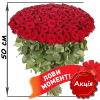Фото товара 101 акционная красная роза