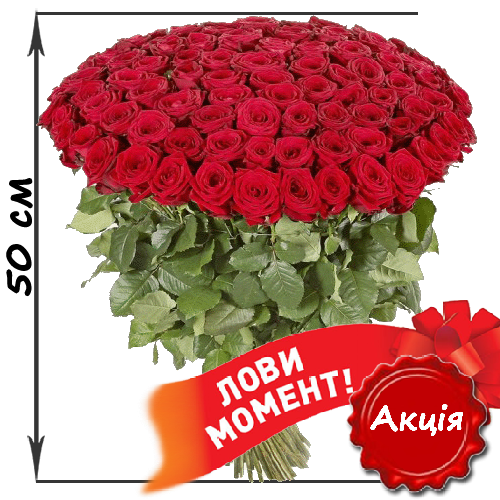 Фото товара 101 акционная красная роза