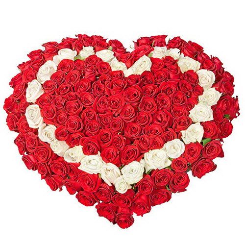 Фото товара 101 роза сердцем - красная, белая, красная в Херсоне