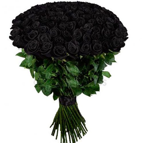 Фото товара 101 черная роза в Херсоне