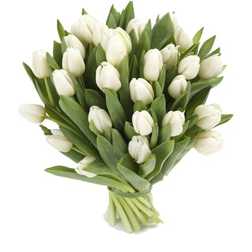 Фото товара 25 белых тюльпанов в Херсоне