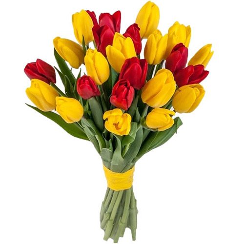 Фото товара 15 красно-жёлтых тюльпанов (с лентой) в Херсоне