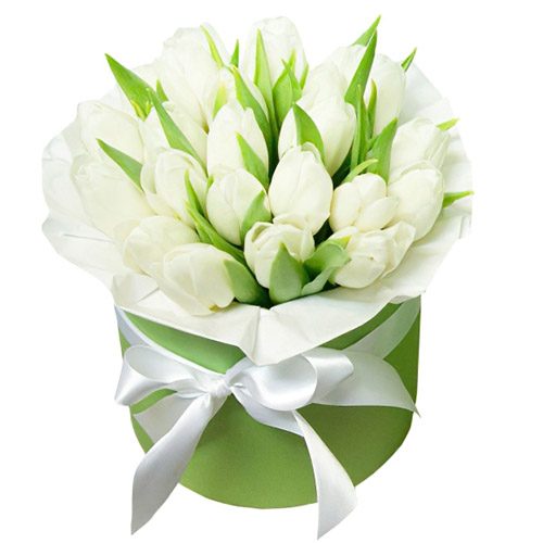 Фото товара 21 белый тюльпан в коробке в Херсоне