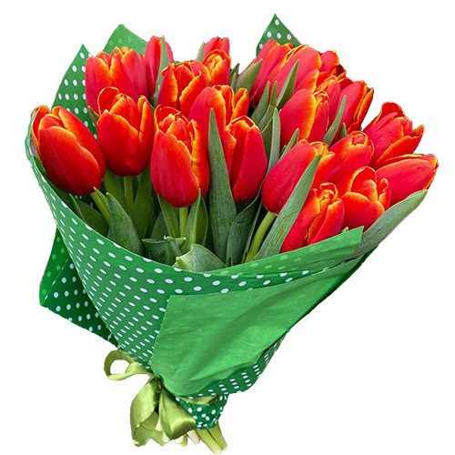 Фото товара 21 тюльпан "Маковый цвет" в Херсоне