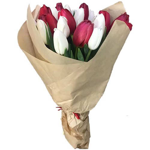 Фото товара 21 красно-белый тюльпан в крафт в Херсоне