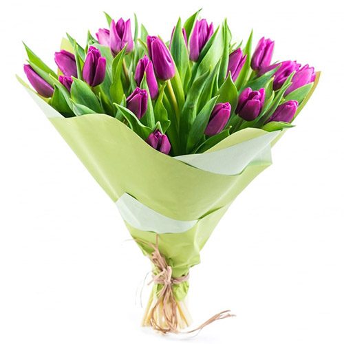 Фото товара 25 пурпурных тюльпанов в Херсоне