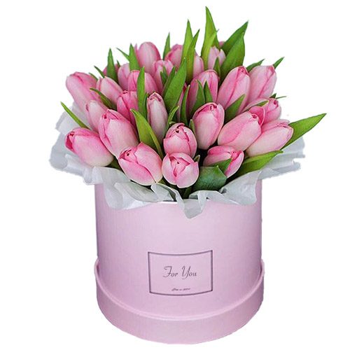Фото товара 31 нежно-розовый тюльпан в коробке в Херсоне