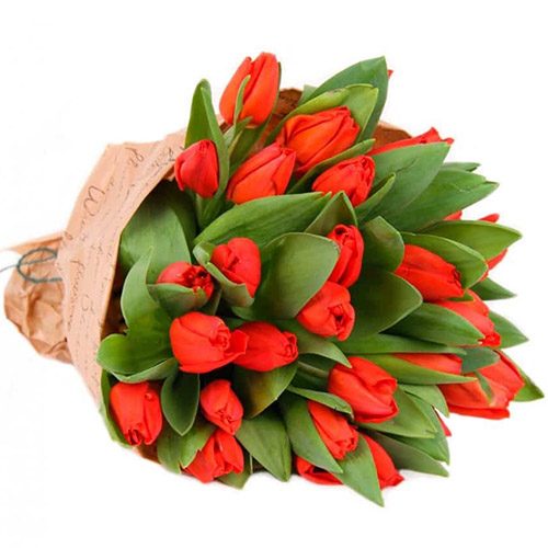 Фото товара 35 красных тюльпанов в "газете" в Херсоне