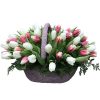 Фото товара 51 бело-розовый тюльпан в коробке в Херсоне