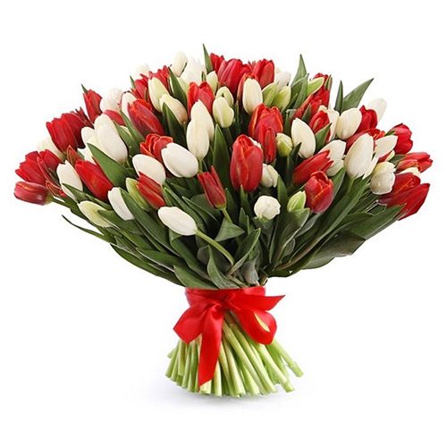 Фото товара 75 красно-белых тюльпанов (с лентой) в Херсоне