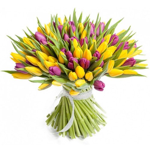 Фото товара 75 фиолетово-жёлтых тюльпанов в Херсоне