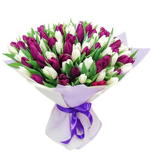 Фото товара 75 пурпурно-белых тюльпанов в Херсоне