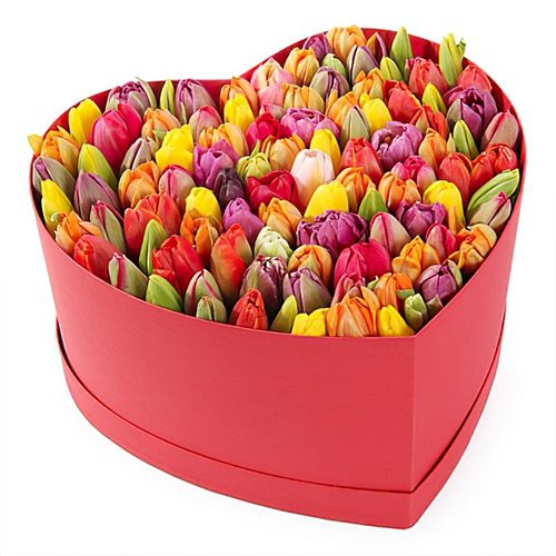 Фото товара 101 тюльпан в коробке сердцем в Херсоне