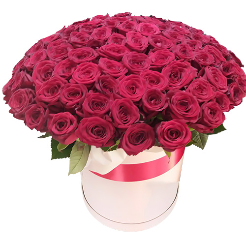 Фото товара 101 роза красная в шляпной коробке в Херсоне
