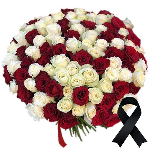 Фото товара 100 красно-белых роз в Херсоне