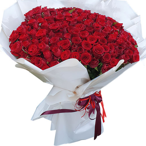 Фото товара 201 красная роза в Херсоне