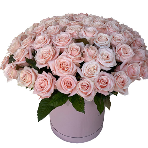 Фото товара 101 розовая роза в коробке в Херсоне