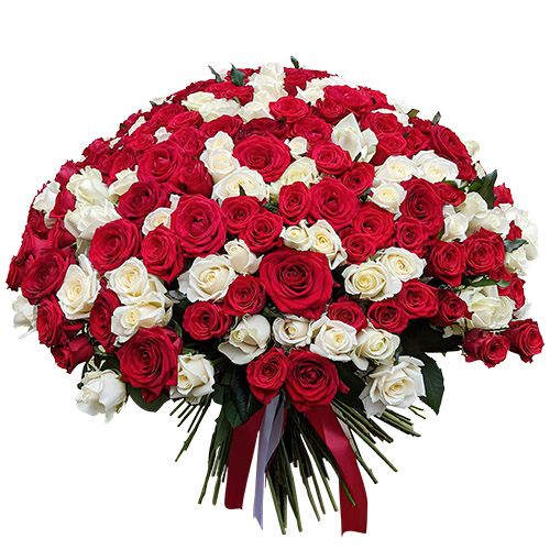 Фото товара 201 красная и белая роза в Херсоне