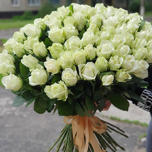 категория товаров 101 Троянда | Миколаїв | «Букет Експрес»