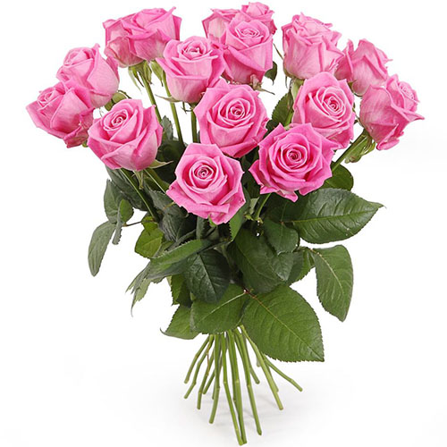 Фото товара 15 роз "Аква" в Херсоне