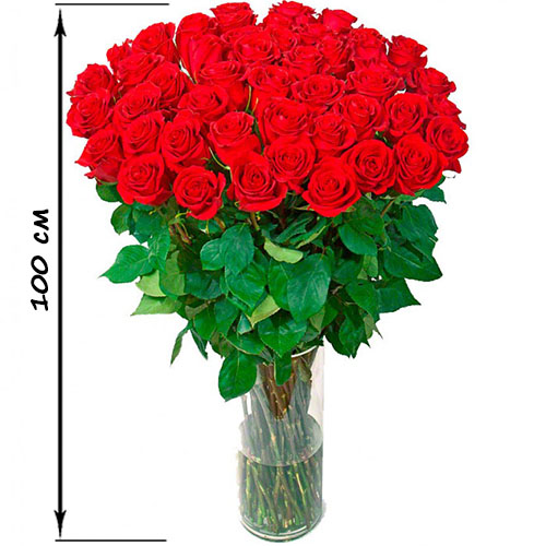 Фото товара 35 высоких роз (100 см) в Херсоне