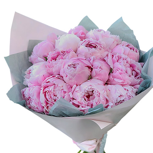 Фото товара 19 розовых пионов в Херсоне