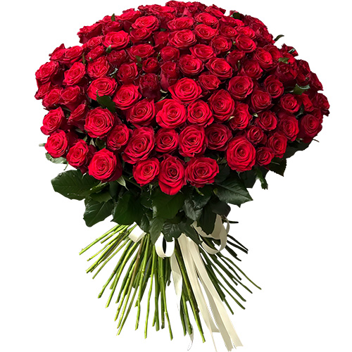 Фото товара 101 роза красная в Херсоне