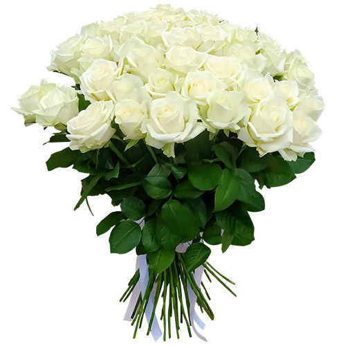 Фото товара 51 троянда біла в Херсоне