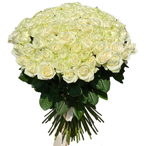 Фото товара 101 троянда біла в Херсоне