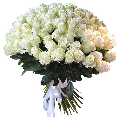 фото товара 101 біла імпортна троянда | «Букет Експрес»